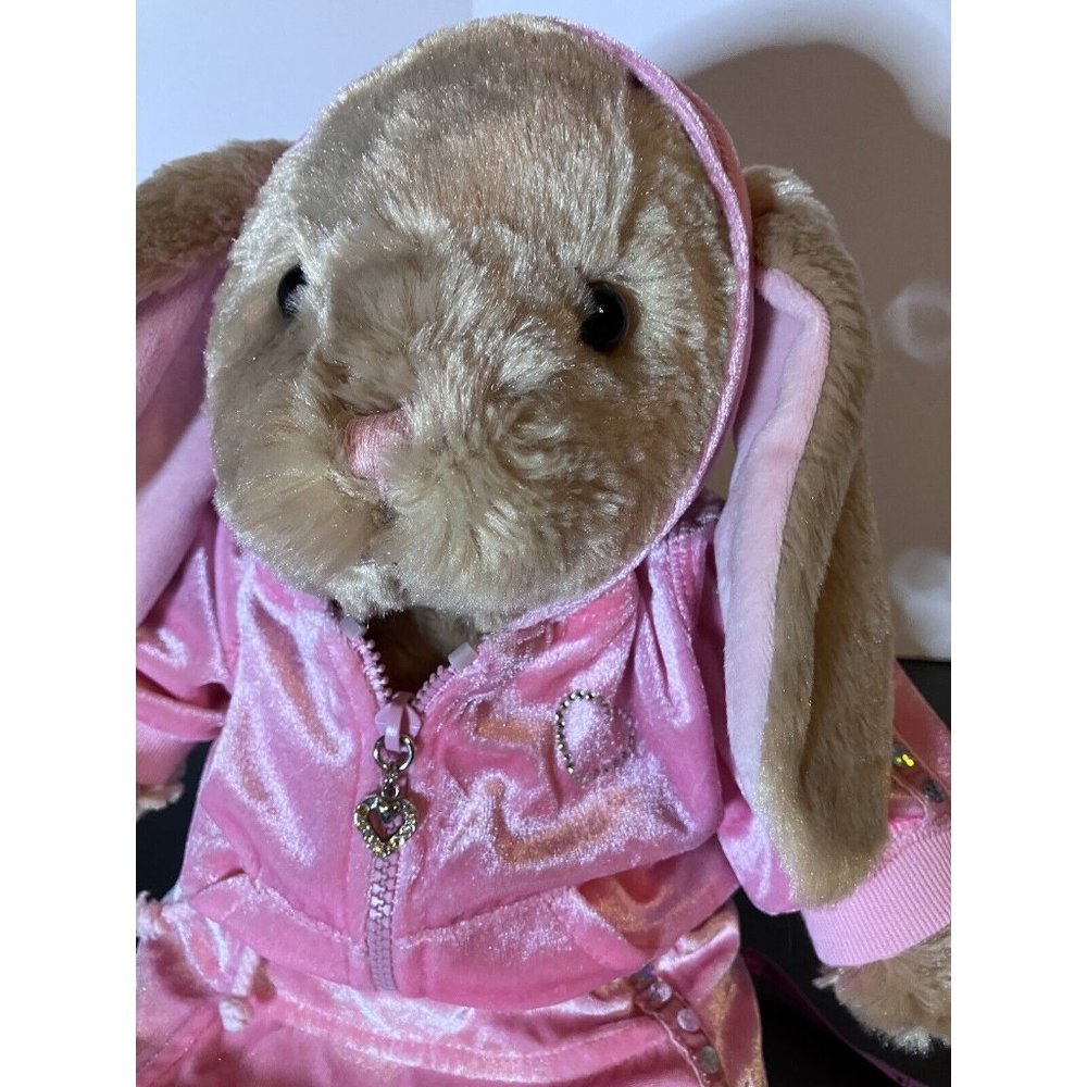 Build-A-Bear Tan Bunny Floppy Ears w/Pink Velvet  Rhinestone Hoodie Skirt Outfit - Picture 12 of 16